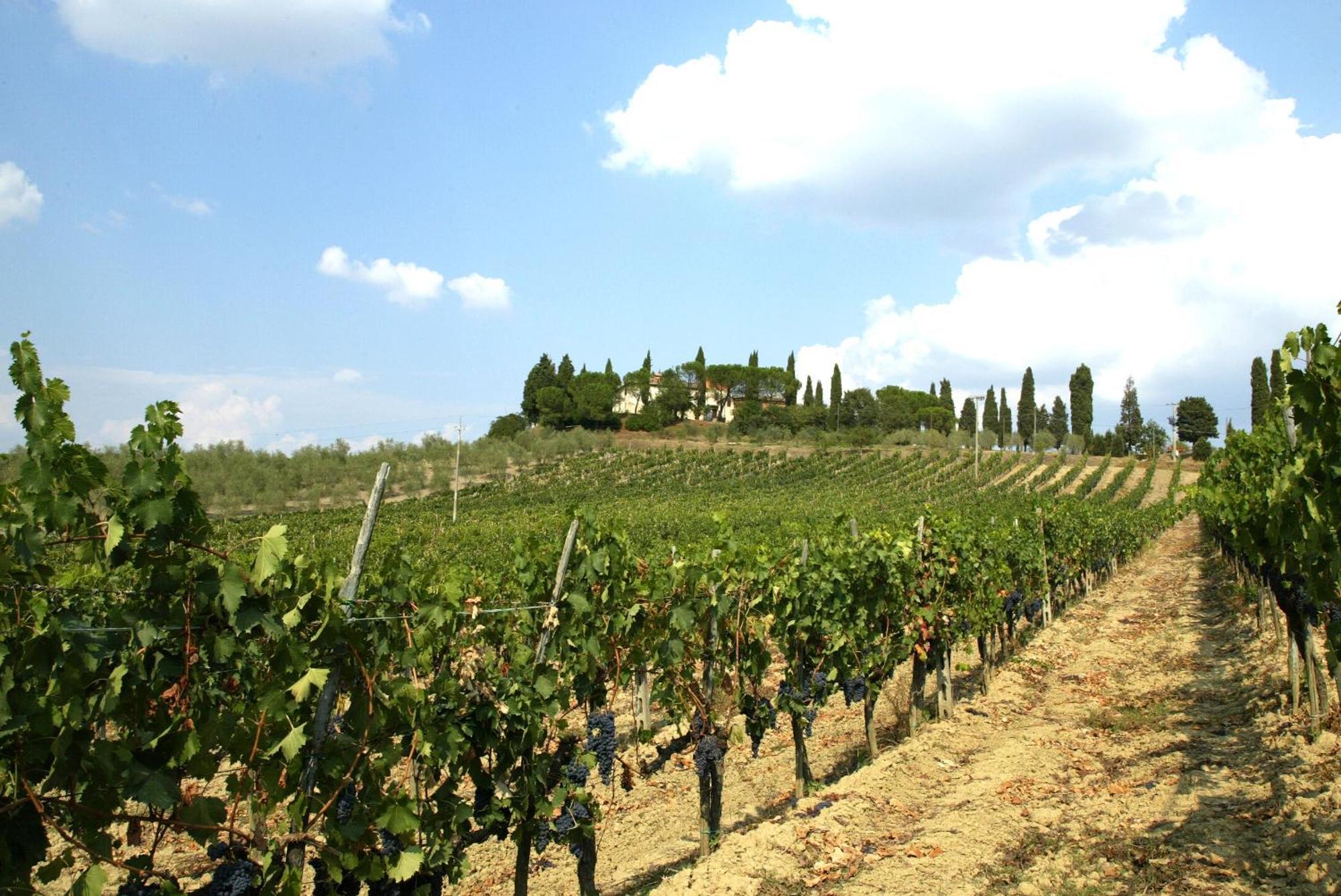 Agriturismo Pieve Sprenna Buonconvento Buitenkant foto
