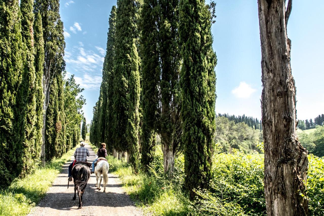 Agriturismo Pieve Sprenna Buonconvento Buitenkant foto