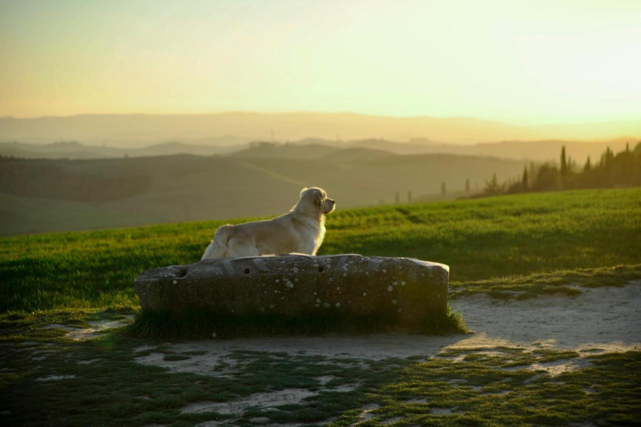 Agriturismo Pieve Sprenna Buonconvento Buitenkant foto